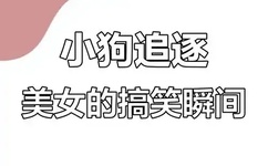 国语熟妇乱人乱A片